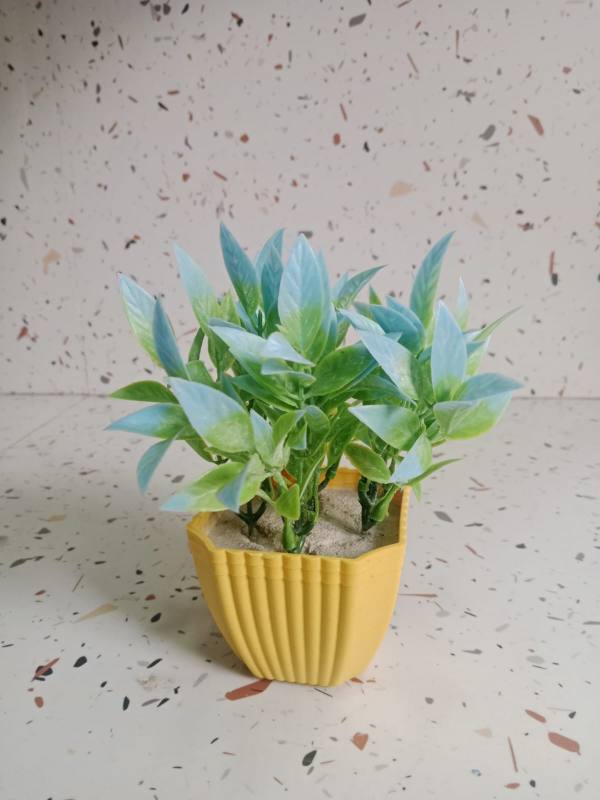 *Plant 3 - Light blue + green* Name: *SeyaraAakaash