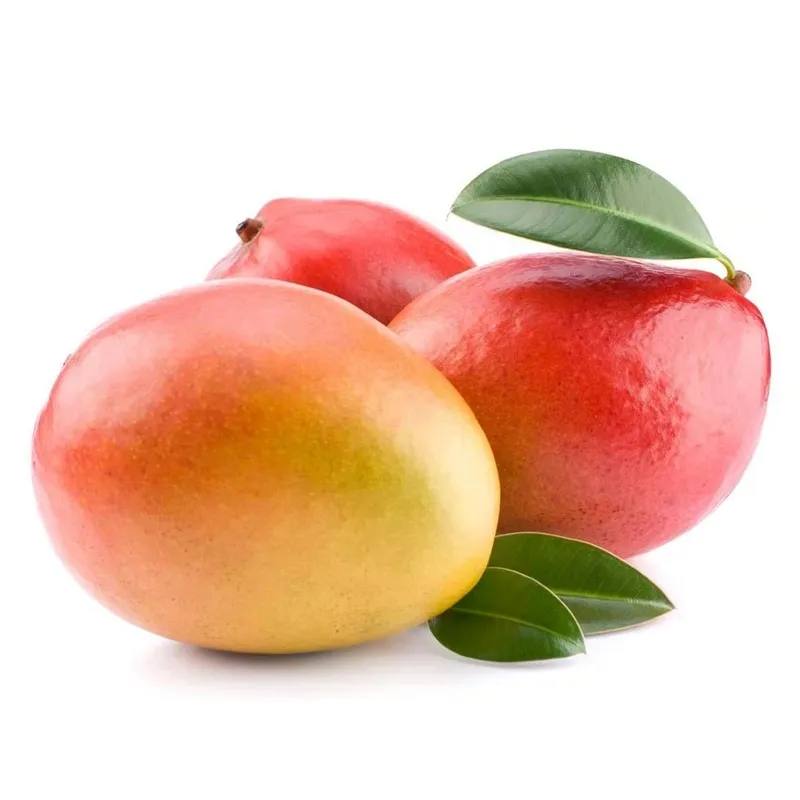 Mango Egypt 1 Kg