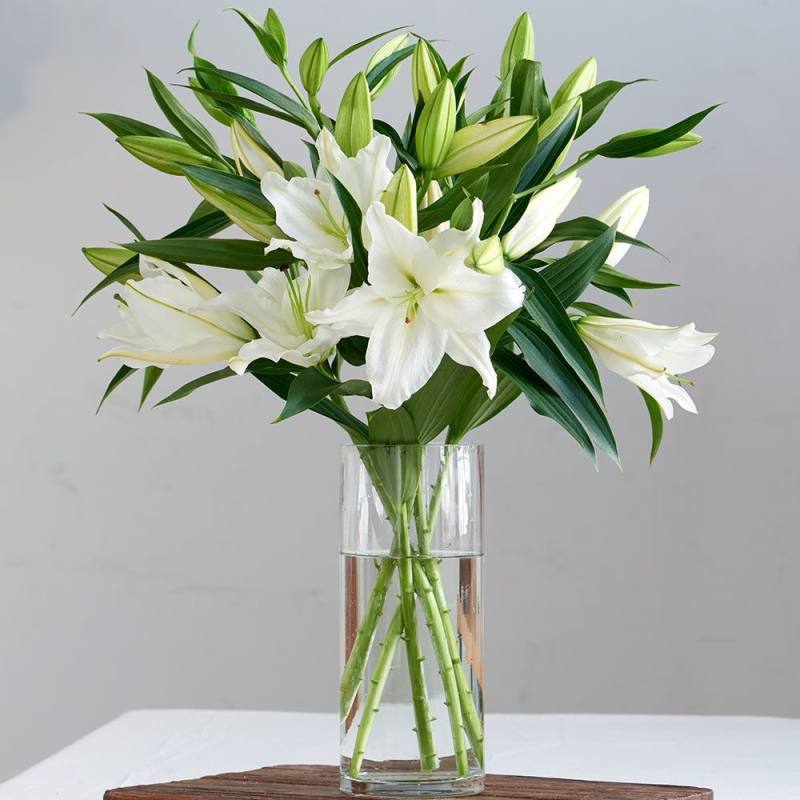 White Lily Vase
