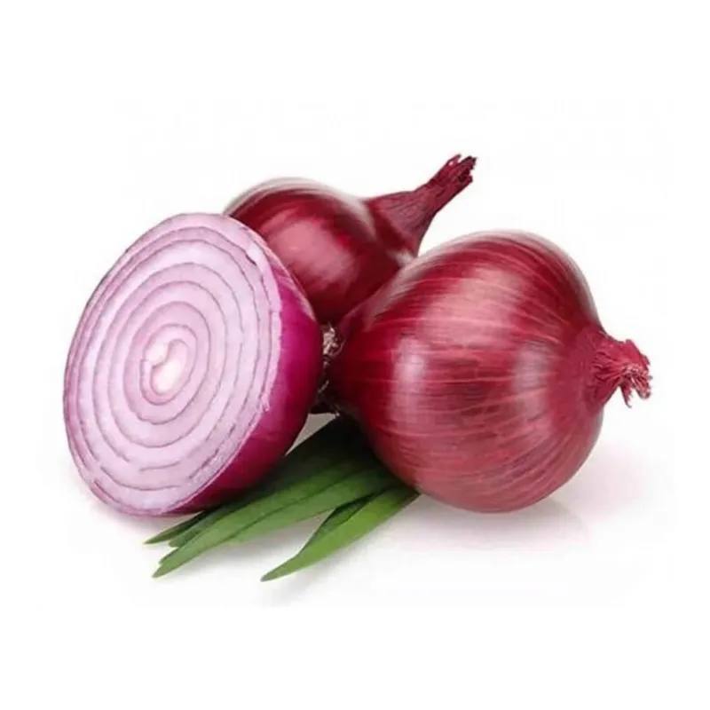 Onion Red Egypt Approx 1 Kg